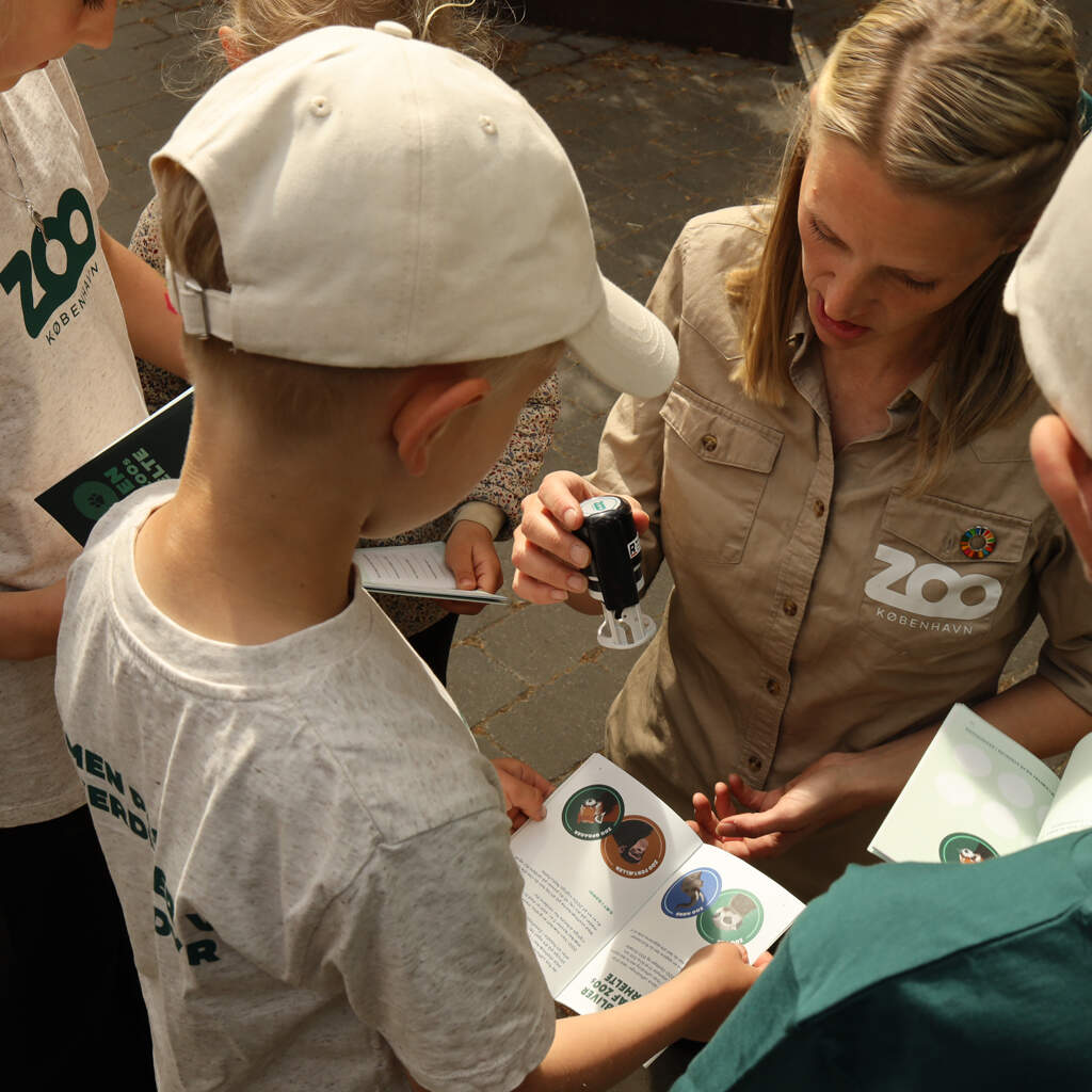 København ZOO DK Gavekort