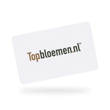 Topbloemen NL Cadeaubon