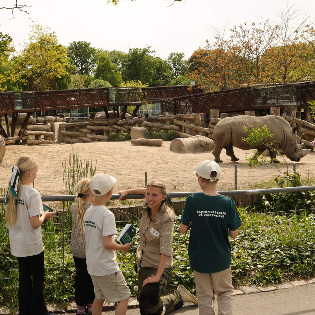 København ZOO DK Gavekort