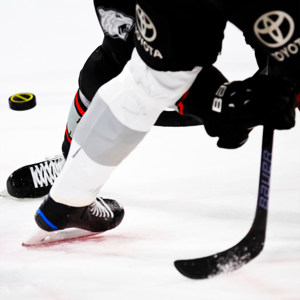 Nickes.com Sports- og Koncertrejser DK Gavekort